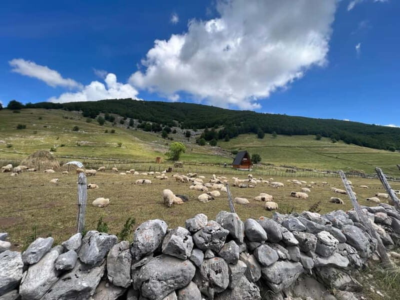 Hiking around Sarajevo: Lukomir Village Full Day Hiking Tour - Practical Details and Value
