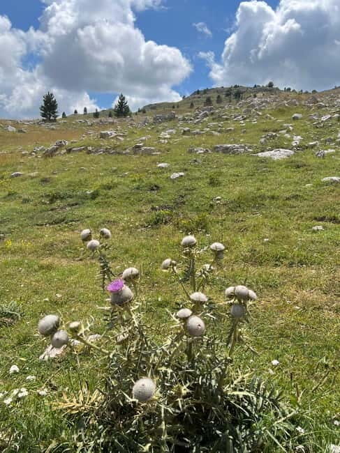 Hiking around Sarajevo: Lukomir Village Full Day Hiking Tour - The Sum Up