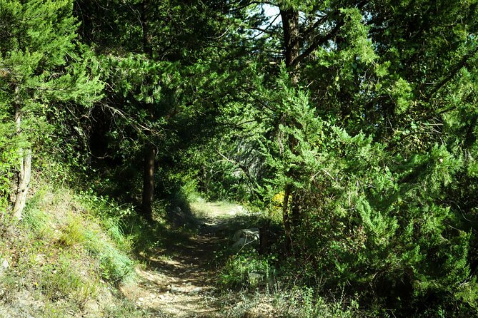 Hiking at Ancient Eleftherna Trail - Margarites, Crete - Confirmation and Payment Options