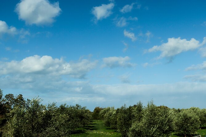 Hiking at Ancient Eleftherna Trail - Margarites, Crete - Group Size and Pricing