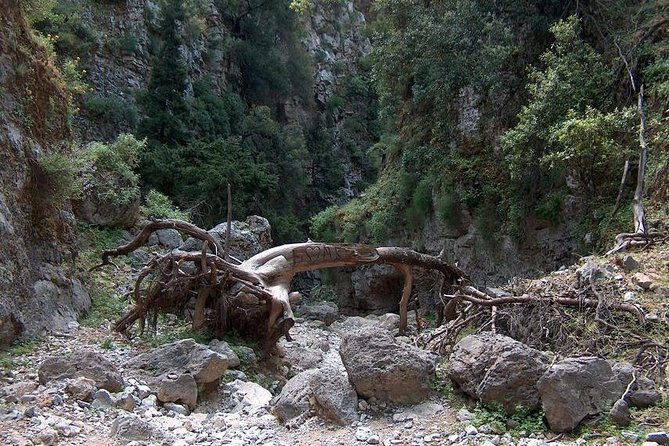 Hiking at Imbros Gorge! Tour From Chania - Meeting and Pickup Details