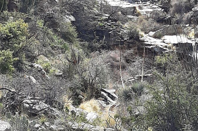 Hiking at Starr Pass and Tucson Mountains - Who Will Love This Tour?