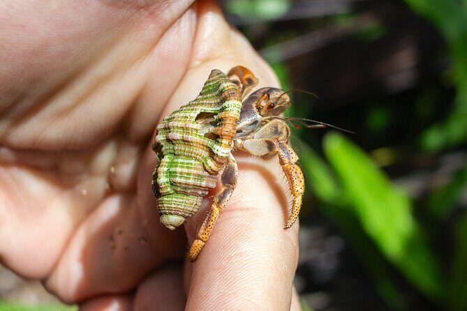 Hiking, Cliffs, Cave, and Taino Legends - What the Reviews Say