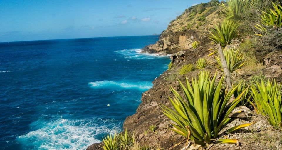 Hiking Combo Tours - Hike and Zip