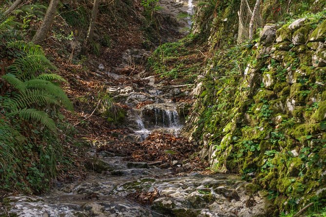 Hiking Experience - Amalfi Natural Reserve Valle Delle Ferriere - Meeting and Pickup Information