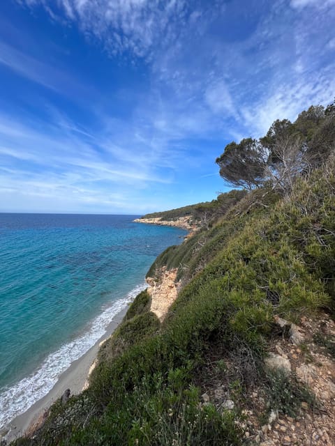 Hiking Experiences in Menorca Private Guided Half Day - Exploring Menorcas Coastal Trails