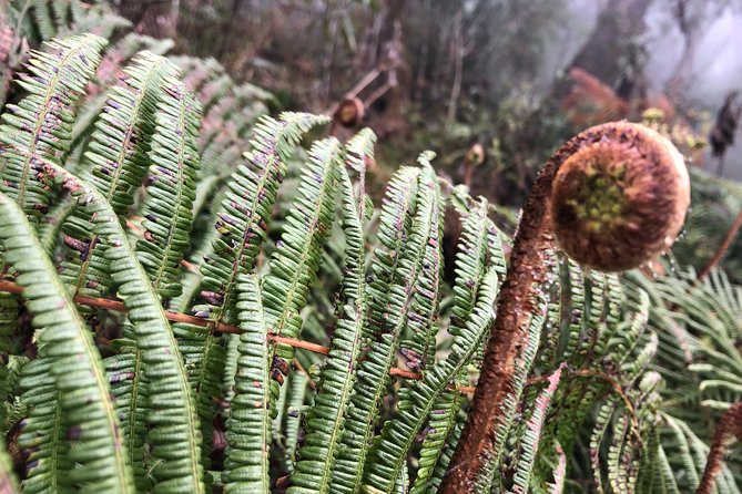 Hiking Fansipan in 2 Days - Preparation Tips