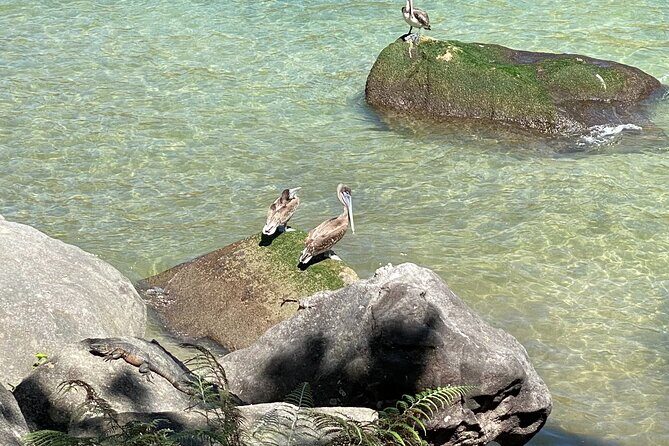 Hiking from Boca de Tomatlan to Playa Las Ánimas - What’s Included and What’s Not