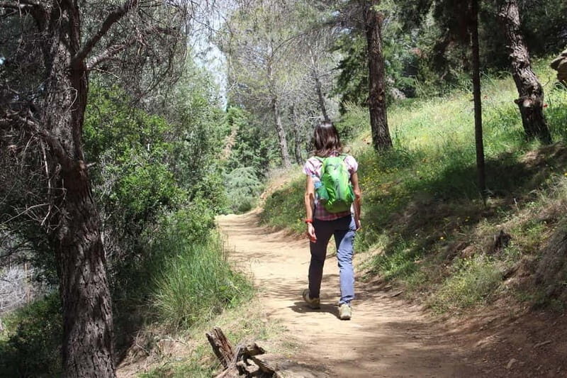 Hiking in Athens: The Dragon House of Mount Hymettus - The Practical Details