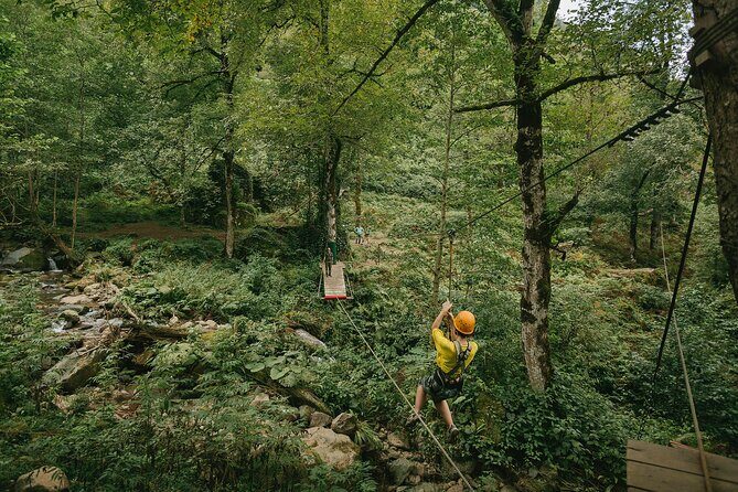 Hiking in Batumi ( Mtirala National Park) - Value and Practicality