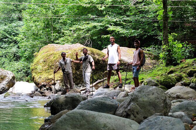 Hiking in Batumi ( Mtirala National Park) - The Sum Up: Who Should Consider This Tour?