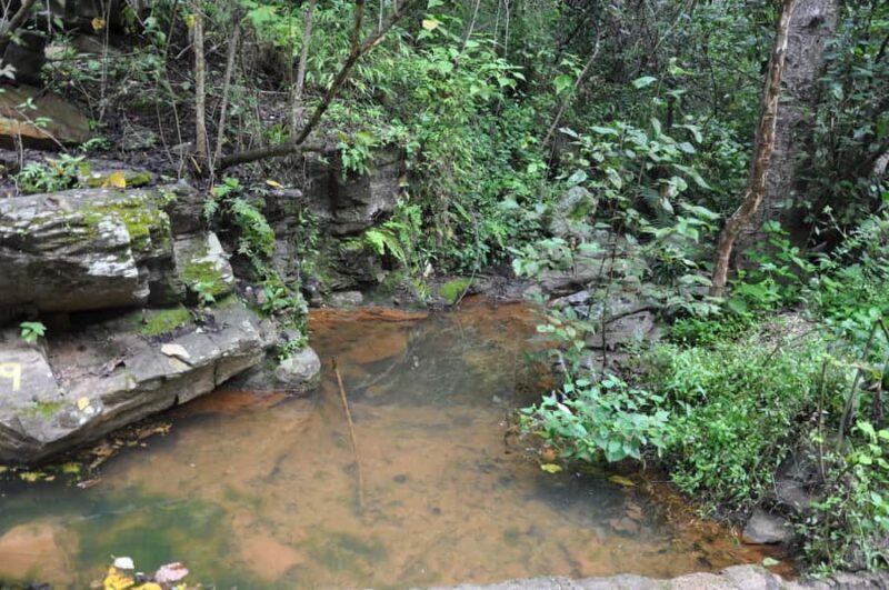 Hiking in Benito Juárez National Park - Key Points