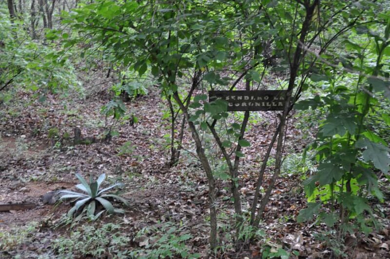 Hiking in Benito Juárez National Park - Seasonal Highlights and Practical Tips