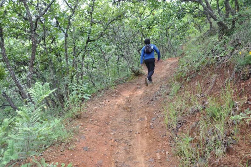 Hiking in Benito Juárez National Park - FAQ: Practical Questions for Visitors