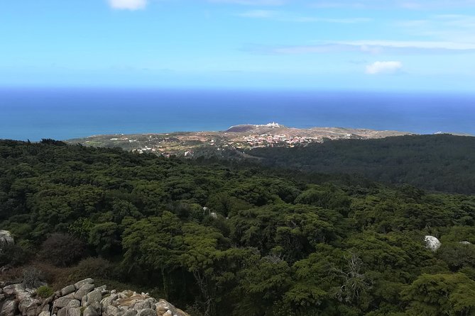 Hiking in Sintra-Cascais Natural Park - Customer Reviews and Ratings