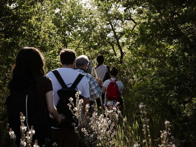 Hiking in the Alta Murgia National Park: the forest and the ancient farmhouse - Exploring Alta Murgia National Park: A Natural and Cultural Treasure