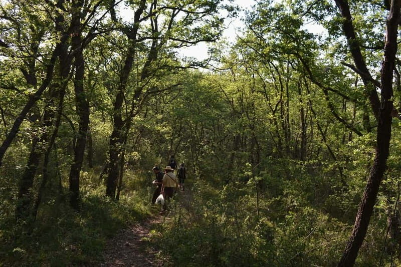 Hiking in the Alta Murgia National Park: the forest and the ancient farmhouse - FAQ