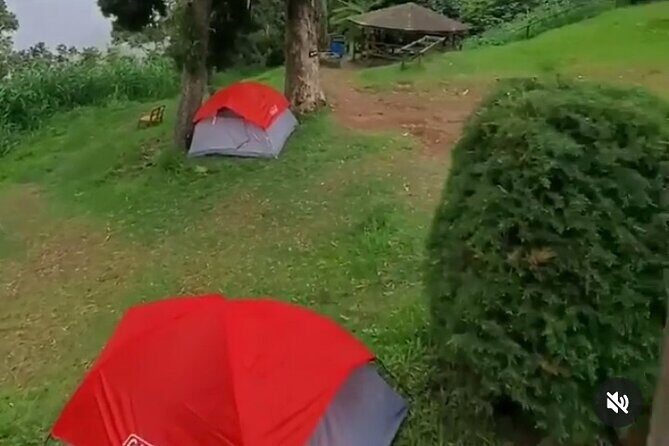 Hiking in the Blue Mountains. - The Perfect Fit: Who Should Consider This Tour?