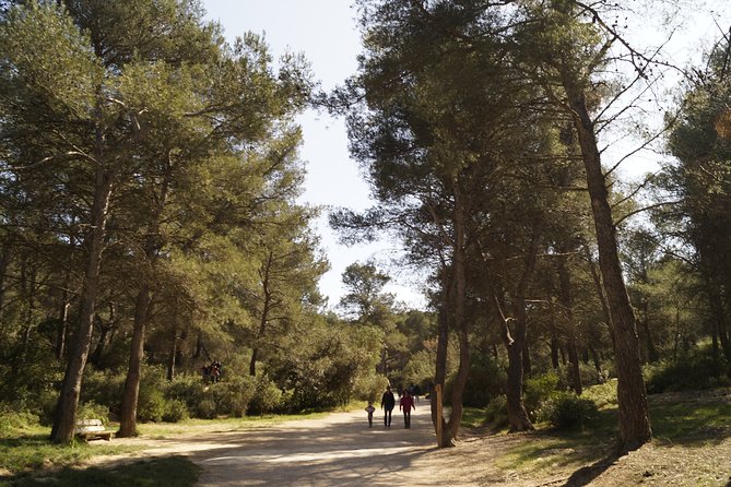 Hiking in the Calanques National Park From Luminy - Picnic Lunch and Swimming Stops