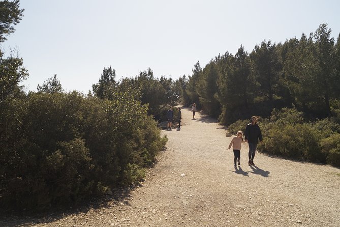 Hiking in the Calanques National Park From Luminy - Preparing for the Hike