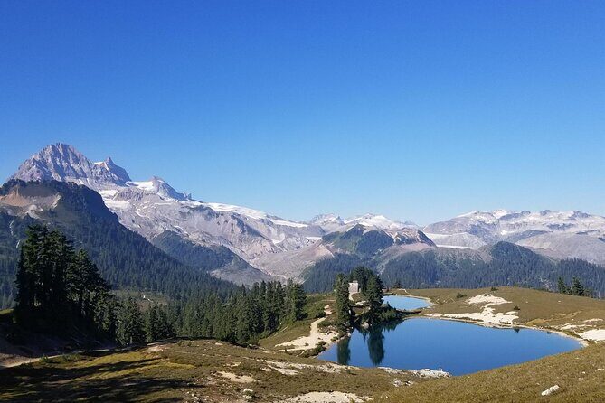 Hiking in the Stunning Garibaldi Park - An In-Depth Look at the Garibaldi Park Hike