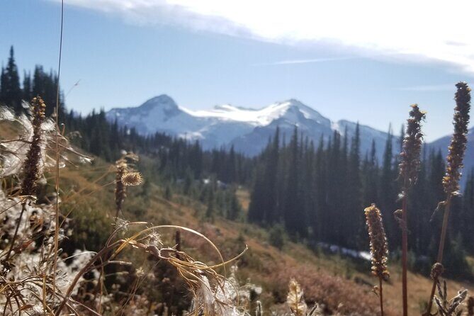 Hiking in the Stunning Garibaldi Park - Final Thoughts