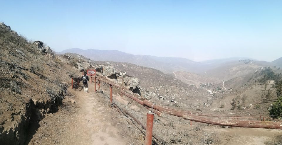Hiking Lomas De Lachay in Lima - Highlights of the Experience