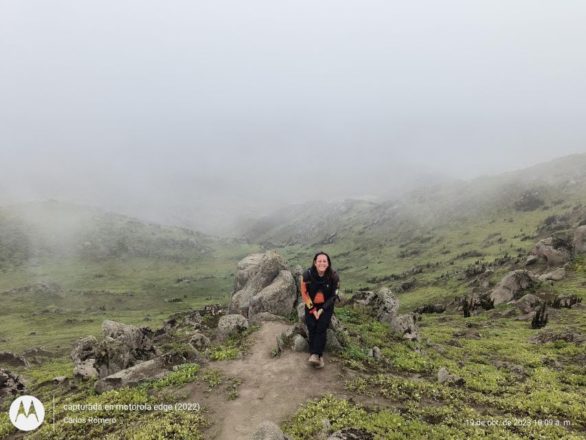 Hiking Lomas De Lachay in Lima - What to Expect on the Trail