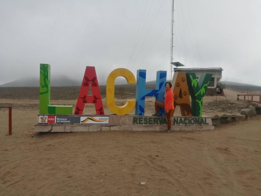 Hiking Lomas De Lachay in Lima - Recap