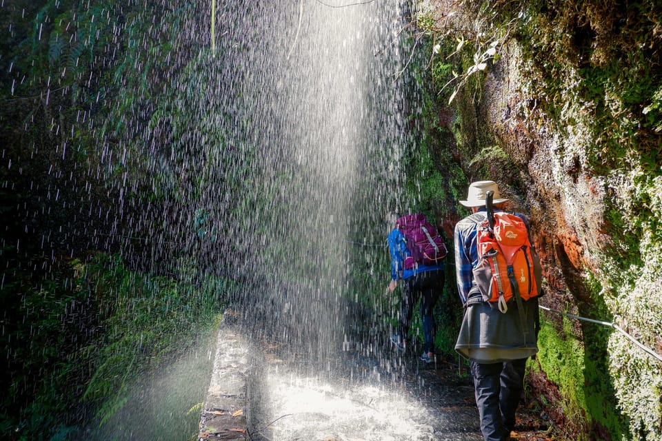 Hiking Madeira: Levada do Rei and the Majestic Laurissilva - An In-Depth Look at the Tour Experience