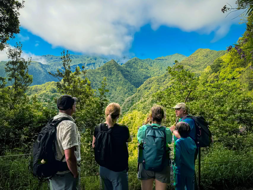 Hiking Madeira: Levada do Rei and the Majestic Laurissilva - Who Will Appreciate This Tour?