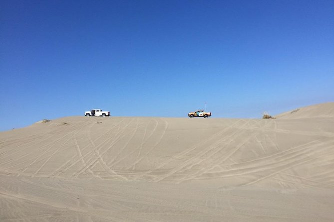 Hiking Mauco Hill & HorseRide-Ritoque Beach&Dunes From VALPARAISO - Activity Highlights