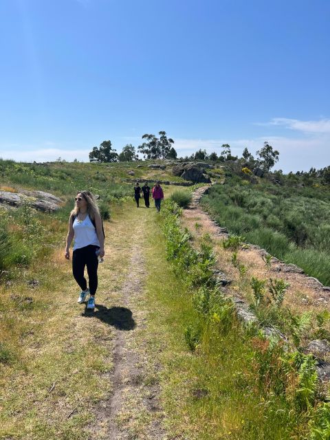 Hiking Meditation on the Mountain (Private Group) - Experience