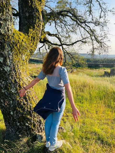 Hiking Meditation on the Mountain (Private Group) - Getting There