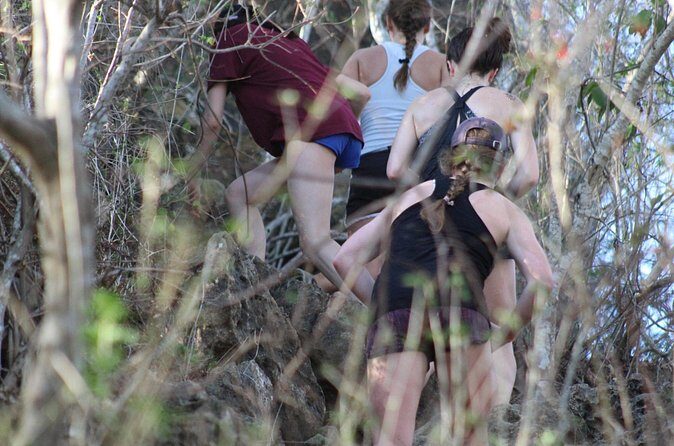 Hiking Monkey Mountain - What to Expect: The Hike Itself