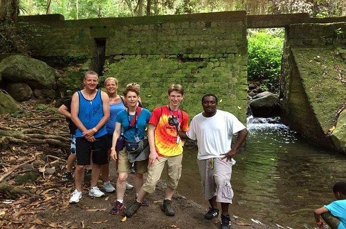 Hiking Mount Liamuiga Volcano in St Kitts - Is This Tour Worth the Price?