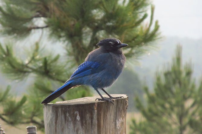 Hiking National Parc Izta Popo Volcanoes, (begineer) - Who Will Appreciate This Tour?
