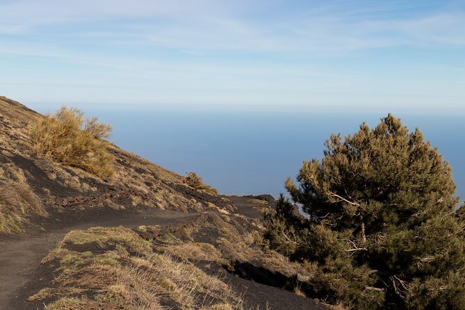 Hiking on Etna and the Bove Valley - Booking and Cancellation Policy