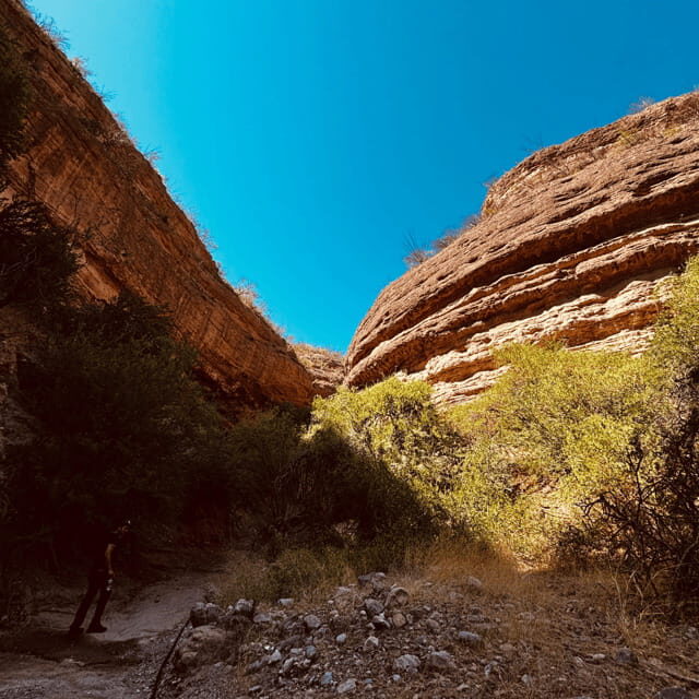 Hiking Ruta del Novillo: explore Sonora's natural surroundings. - Key Points