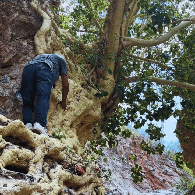 Hiking Ruta del Novillo: explore Sonora's natural surroundings. - Who should consider this tour?