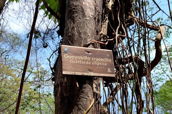 Hiking & Snorkeling to Mexico's Smallest Paradise Colomitos Beach - Who Should Consider This Tour?