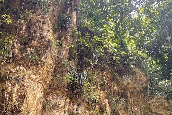 Hiking the 27 Waterfalls of Damajagua Tour from Santo Domingo - Key Points