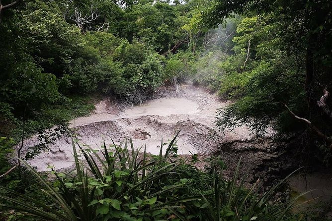 Hiking to the Rincon De La Vieja Volcano National Park Private Tour - Sample Lunch Menu
