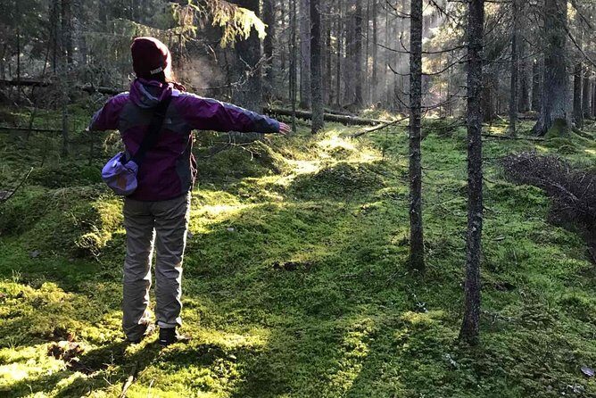 Hiking tour in Nuuksio National Park with meal and snacks - Key Points