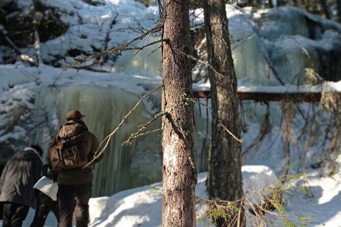 Hiking tour in Nuuksio National Park with meal and snacks - The Sum Up: Who Is This Tour Perfect For?