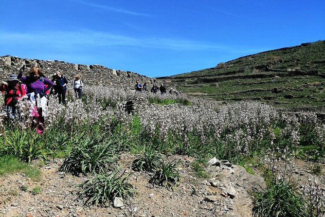 Hiking Tour on Kythnos - Inclusions and Conditions