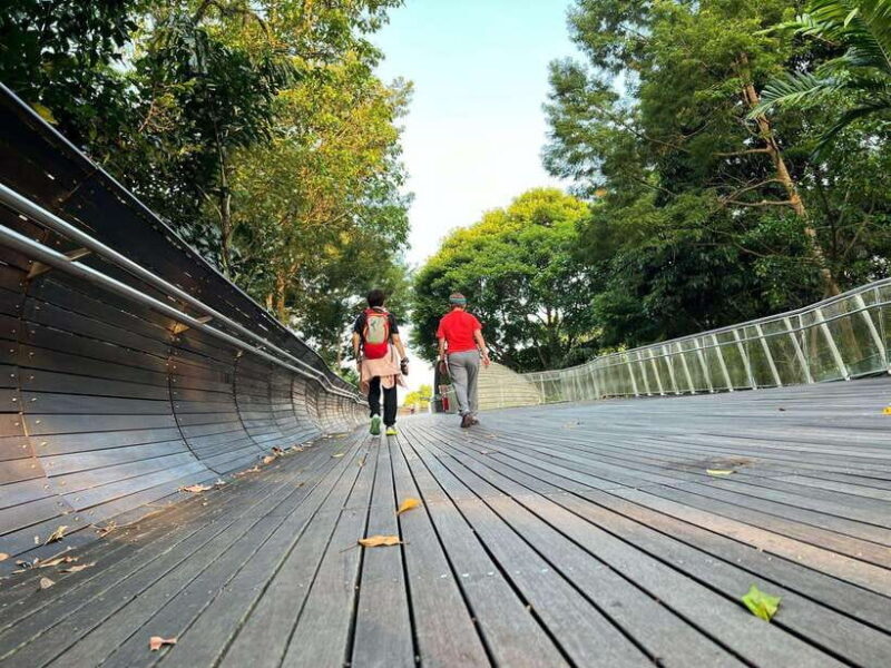 Hiking Tour to Seah Im bunker, Mount Faber and Henderson - A Deep Dive into the Experience