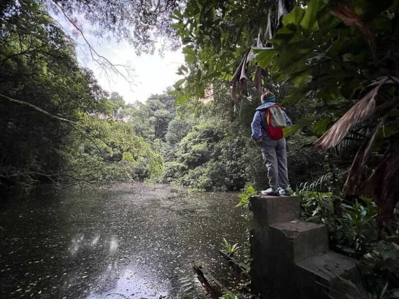 Hiking Tour to Seah Im bunker, Mount Faber and Henderson - Final Thoughts