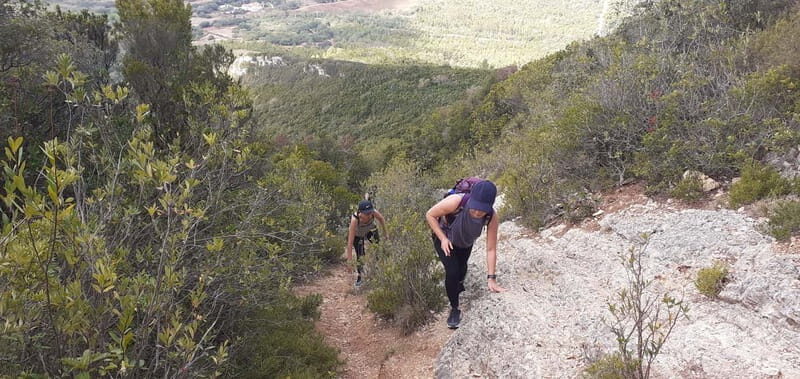 Hiking Tour to the highest point of Arrábida Mountain - Authentic Experiences and Traveler Insights