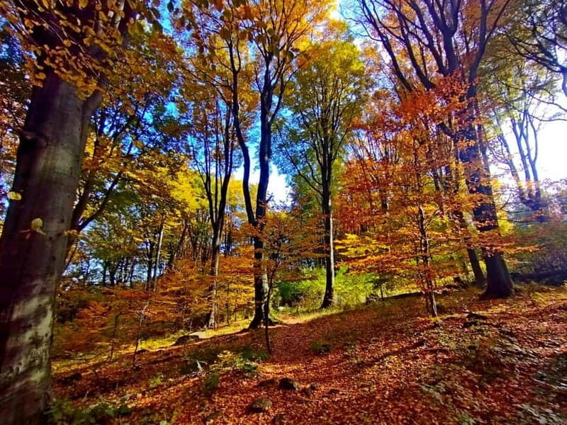 Hiking tour to the Peak of Hungary - The Experience and Guide Quality